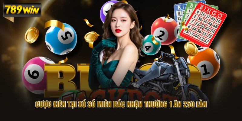 Đặt Cược Xổ Số Miền Bắc Cơ Hội Trúng Thưởng Giá Trị Khủng 3 Cược xiên tại xổ số miền Bắc nhận thưởng 1 ăn 250 lần