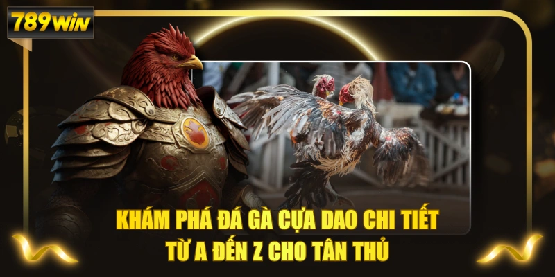 Khám Phá Đá Gà Cựa Dao Chi Tiết Từ A Đến Z Cho Tân Thủ 1 Khám Phá Đá Gà Cựa Dao Chi Tiết Từ A Đến Z Cho Tân Thủ