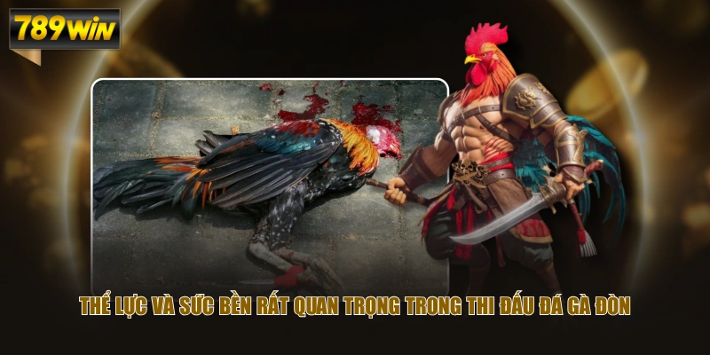 Review Đá Gà Đòn: Nghệ Thuật Chơi Gà Sới & Bản Lĩnh Chiến Kê 3 Thể lực và sức bền rất quan trọng trong thi đấu đá gà đòn