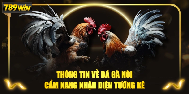 Thông Tin Về Đá Gà Nòi & Cẩm Nang Nhận Diện Tướng Kê 1 Thông Tin Về Đá Gà Nòi & Cẩm Nang Nhận Diện Tướng Kê